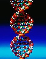 DNA Fat Gene